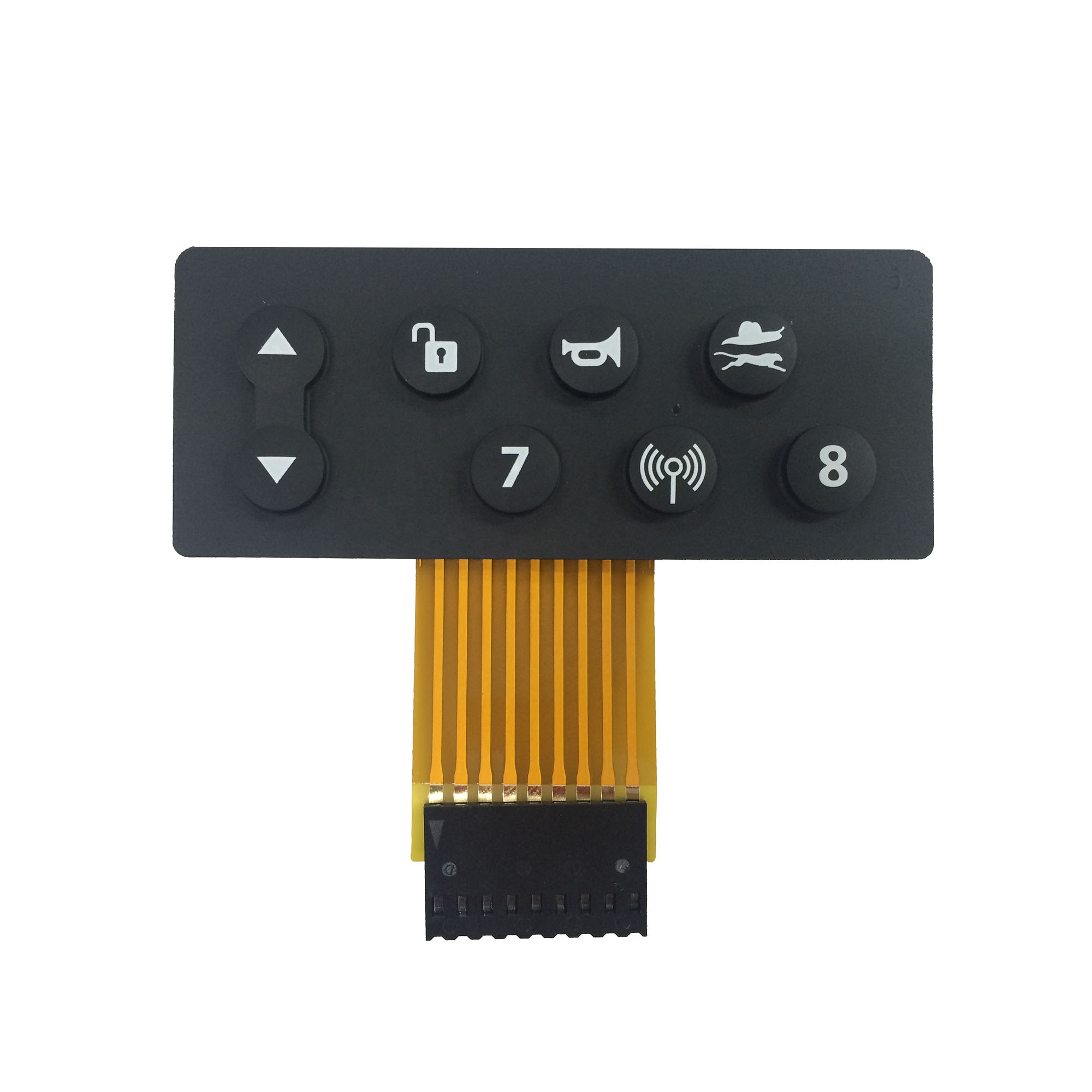 Membrane Switch